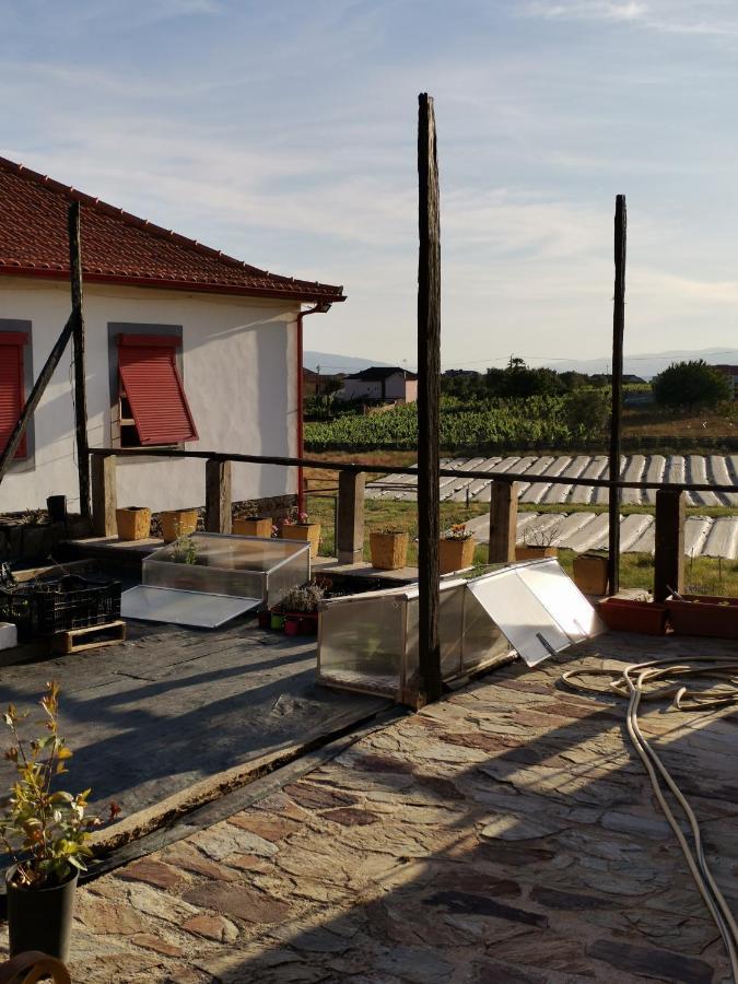Casa Da Vinha Grande 호텔 Poiares 외부 사진